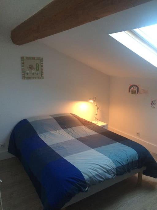 Magnifique maison toulousaine Toulouse Extérieur photo