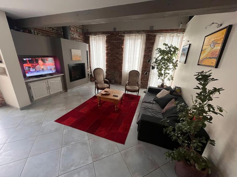 Magnifique maison toulousaine Toulouse Extérieur photo
